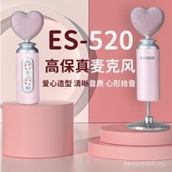 Art Star Fashion Influencer Entertainment USB Condenser Microphone K Song Handy Tool Computer Microp