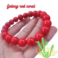 Elegant red coral marjan bracelet