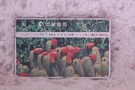 9028 仙人掌(一) 1999年發行 植物 中華電信 光學卡 磁條卡 電話卡 通信卡 通訊卡 通話卡 二手 收集卡 無餘額 收藏
