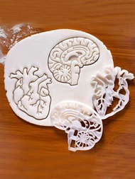 DIY塑膠大腦心白色烘焙工具人類器官餅乾模具2入組