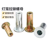 Lantern Type Rivet Nut m5 Car Parts Slotted Expansion m6 Extended Thick Pull Nut Petal Pull Nut m8 R