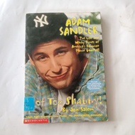 NOT TOO SHABBY (ADAM SANDLER)