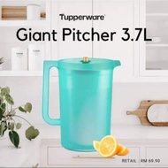 Blossom Pitcher by Tupperware Jug Air Tupperware