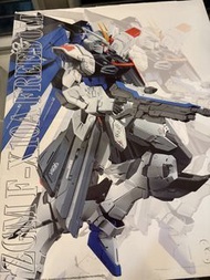 非 Bandai metal build mb MG ZGMF-X10A Freedom Gundam 模型
