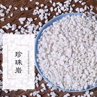 [現貨] 珍珠岩 perlite 1L裝 多肉土 多肉植物非洲紫羅蘭仙人掌盆栽介質植料 植物防蟲