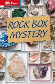 Rock Box Mystery Samone Bos