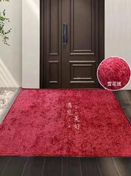 門口入戶門地毯家用門墊紅色進門地墊蹭土墊子進戶大門腳墊防滑墊
