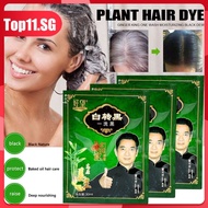 2pcs Hair Dye Shampoo Natural Plant Bubble Hair Dye Long-lasting Effective Convenient Coloring Shampoo Hair (top11.sg.)