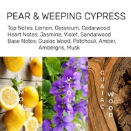 Pear & Weeping Cypress - 50ml Candle/Perfume Fragrance Oil/Pear & Weeping Cypress - 50ml Minyak Wang