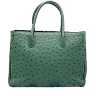 鴕鳥皮手提包/手提包

鴕鳥皮，綠色 [二手]