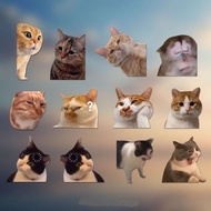 7/6Pcs Cat Meme Emoticon Waterproof Stickers Funny Kitten Surprised Expression Car Stickers