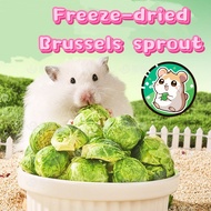 [SG SELLER] 🥬Hamster super vegetable- Freeze-dried Brussels Sprout| vitamin bomb| each bottle 20g