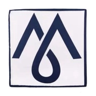 Elegant Square Scarf Printed Fashion Bag Accessories 70cm X 70cm