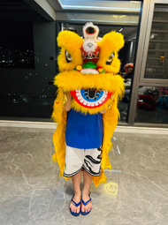 Kids Plastic Dance Lion Head 6/9-Inch Dance Lion Lions Head Foshan Xingshi South Lion Toy Performanc