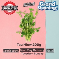 Fresh Tau Miew Harga Pasar Borong 200g +-SAYURAN SEGAR Vegetables Wholesale Murah Grocery Segar Bara
