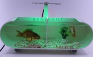 Aquarium mini akrilik dengan sekat