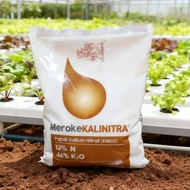 Potassium Nitrate KNO3 Meroke Kalinitrat Fertilizer Factory Packaging 1 Kg - Fast Soluble, Increase 