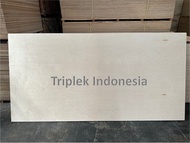 [Wp43] Triplek Combi Birch 18Mm 122X244Cm / Plywood Combi Birch 18Mm