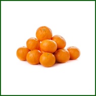 ◴ ♝ kiat kiat orange dwarf fruit tree seeds