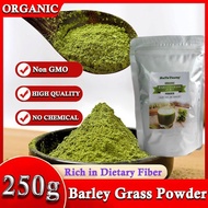 Premium Barley Grass Powder BARLEY GRASS POWDER 100% Certified Organic Natural for lose weight barley powder pure organic body detoxification