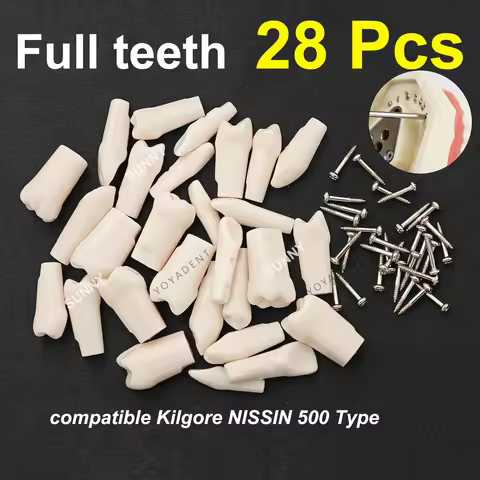 Dental Teeth Model Typodont Screw-in Replacement Teeth fit NISSIN 500 Type Dentistry Preparation Tra