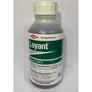 Loyant | Dow AgroScience | Racun rumput padi | Loyant 500 ML