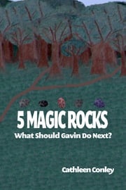 5 Magic Rocks: What Should Gavin Do Next? Cathleen Conley