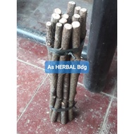 Pine tree stem twigs, planting medium for aquarium decoration per 1 bunch