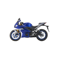 Decal R25 V2 DG Sticker