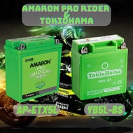 AMARON &amp; TOKIOHAMA AP-ETX5L/YB5L-BS Motorcycle Battery (EX5/KRISS/EGO/LC135 V1/E-BONUS/SRL110) By Pro Auto