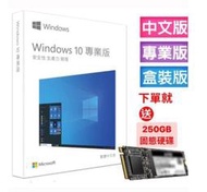 未稅價 微軟 Microsoft Windows 10 中文專業完整版 USB C-Win10 Pro 64 彩盒包