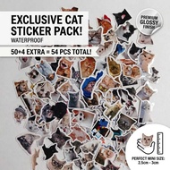 Cat Stickers | Silly Cat Stickers | Cute Cat Stickers | Stickers Sheets | Kawaii Stickers