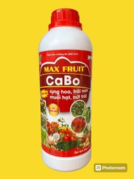 Phân bón MAX FRUIT - CANXI BO - CHAI 1L