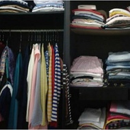 Live Link Weight 2kg