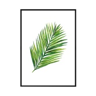 花草生活—黃椰子
