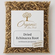 Organic Dried Echinacea Root (Echinacea Purpurea) 2 Oz.