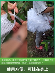 Net Bag Bag Guava Guava Insect-proof And Bird-proof Special Bag One-piece Fruit Net Bag Foam Net Pro