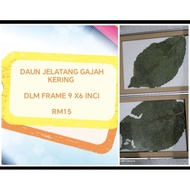 DAUN JELATANG GAJAH FRAME 9X6 INCI RM15