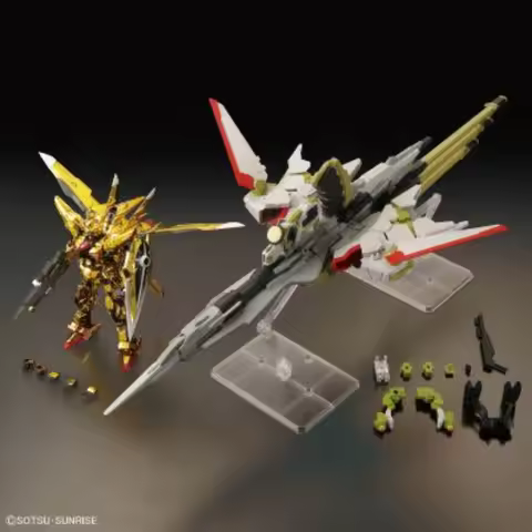 BANDAI SPIRITS RG Akatsuki Gundam Oowashi Unit & HG Zeus Silhouette Custom Joint Gold‑Plated Armor D