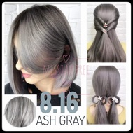 ◕◄☃BREMOD 8.16 ASH GRAY HAIR COLOR SET WITH OXIDIZING