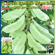 High Yield Fresh Green Eyebrow Beans Seeds for Planting Vegetables Plants (Fast Growing 15 Seed) Gre
