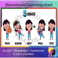 5 senses Learning chart for kids Laminated A4