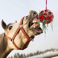 1pc Flexible Rubber Hay Feeder Ball With Hanging Rope, Hay Feeding Ball For Horses, Goats, Sheep, Re