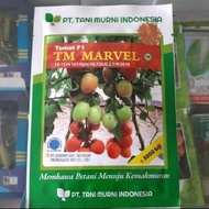 Benih Tomat TM Marvel F1 10 gram