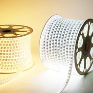 220V Waterproof LED Light Strip With Power EU Plug SMD 5730