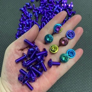 (Combo 10-20pcs umbrella head d14) Titanium screw GR5 6li15 D14 Vario disc (M6x15 D14 umbrella head)