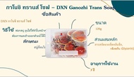 สบู่ DXN Ganozhi Trans Soqp กาโนชิ ทรานส์ โซฟ สบู่เห็ดหลินจือ / DXN Oocha Trans Soap โอชะ ทรานส์ โซฟ