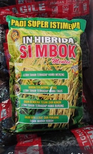 Benih padi unggul simbok umur pendek kemasan 1kg usia 85-90 Hst exp 0626 varietas padi unggul simbok
