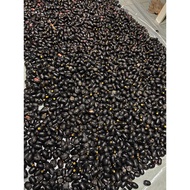 Buah dabai sarawak (buah borneo)