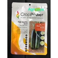 Biji Benih Timun/Cucumber Seeds / 黄瓜种子 – CROP POWER (F1 HYBRID DC777) 20GM